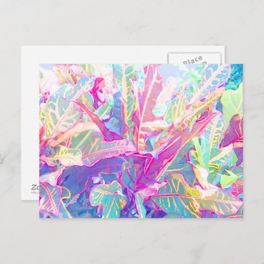 Schöne Croton-Blätter (2) Postkarte (Vorne/Hinten)