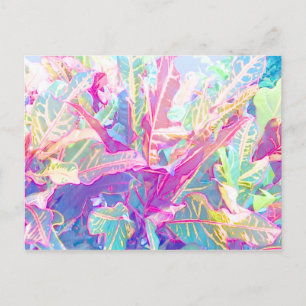 Schöne Croton-Blätter (2) Postkarte