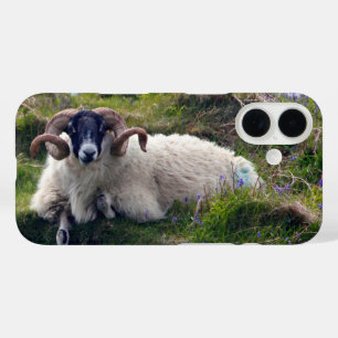 Schöne Curly Horned Ram Lounges in Bluebells iPhone 16 Hülle