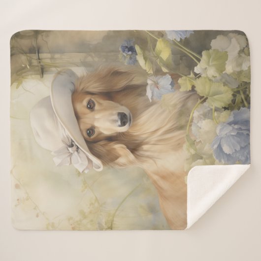 Schöne Dackel Sherpadecke (Vorderseite (Horizontal))