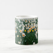 💐 ↷ schöne Daffodien Fabulous Classic Kaffeetasse (Mittel)