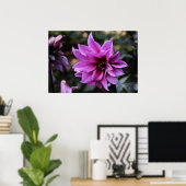 Schöne Dahlia Blume Poster (Heimbüro)