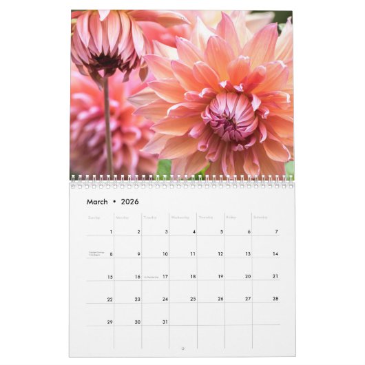 Schöne Dahlia-Fotografie Kalender (Mär 2026)