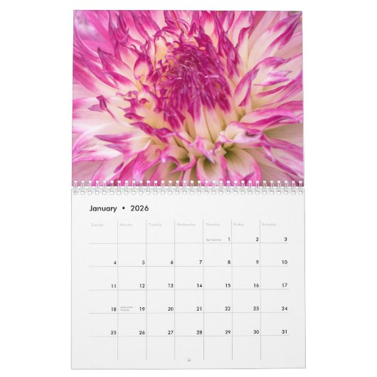 Schöne Dahlia-Fotografie Kalender (Jan 2026)