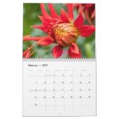 Schöne Dahlia-Fotografie Kalender (Feb 2027)