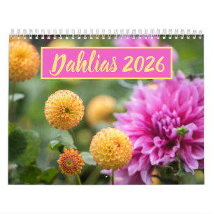 Schöne Dahlias Blumenfotografie Kalender