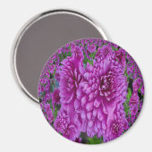 Schöne Dahlias....... Magnet (Vorderseite/Rückseite)