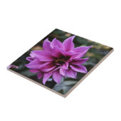 Schöne Dahlie-Blume Fliese (Seite)