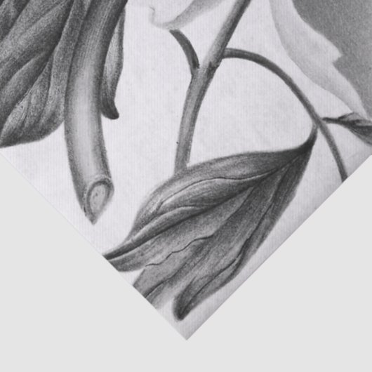 Schöne Dahlie-Blume Seidenpapier (Detail)