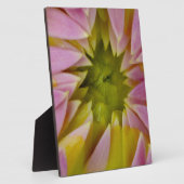 Schöne Dahlie Fotoplatte (Seite)