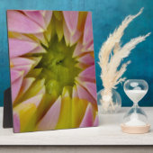 Schöne Dahlie Fotoplatte (Seite)