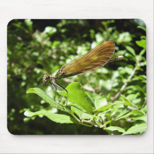 Schöne Demoiselle-Mausmatte Mousepad