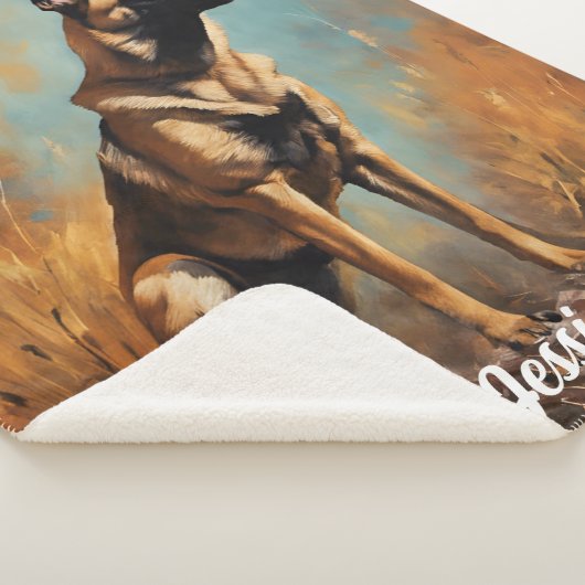 Schöne deutsche Malinois Sherpadecke (3/4)