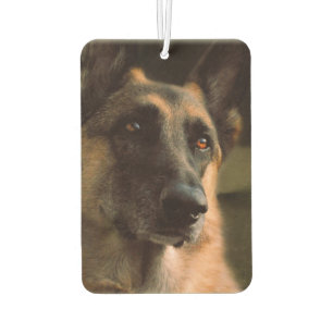 Schöne deutsche Shepherd Car Air Freshener Autolufterfrischer