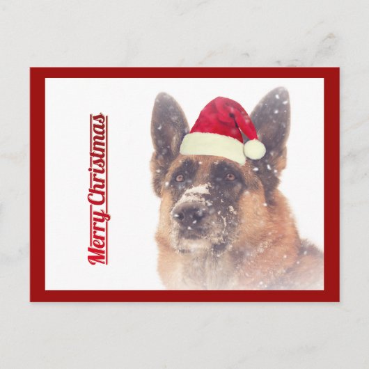Schöne deutsche Shepherd Holiday Postcard Feiertagspostkarte (Vorderseite)