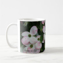 Schöne Dogwood-Blume Tasse