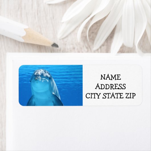 **SCHÖNE DOLPHIN** ADRESSE ETIKETTEN (Insitu)