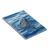 Schöne Dolphin Notizblock (Rechte Seite)