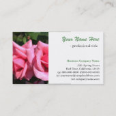 schöne doppelte perfekte heiße rosa Rose Blume Visitenkarte (Rückseite)