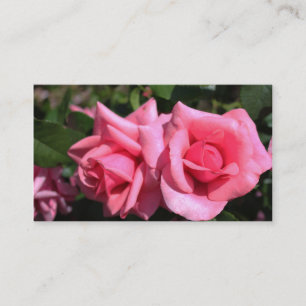 schöne doppelte perfekte heiße rosa Rose Blume Visitenkarte