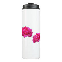 Schöne, doppelte Rose rosa Blume