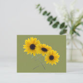 Schöne Dreifach-Sonnenblumen-Fotografie auf Green Postkarte (Stehend Vorderseite)