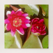 Schöne dunkelrosa Wasserlilie, Lotus Blossom Puzzle (Horizontal)