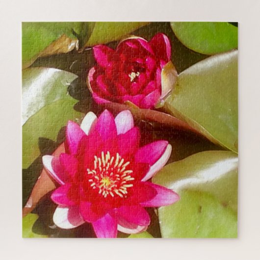 Schöne dunkelrosa Wasserlilie, Lotus Blossom Puzzle (Vertikal)