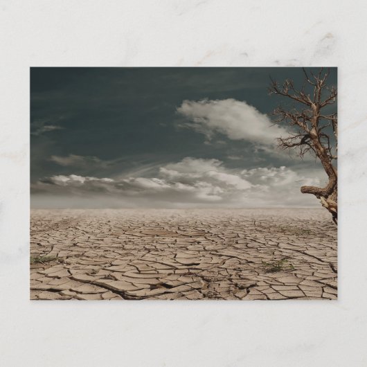 Schöne Dürrewüstenlandschaft Postkarte (Vorderseite)