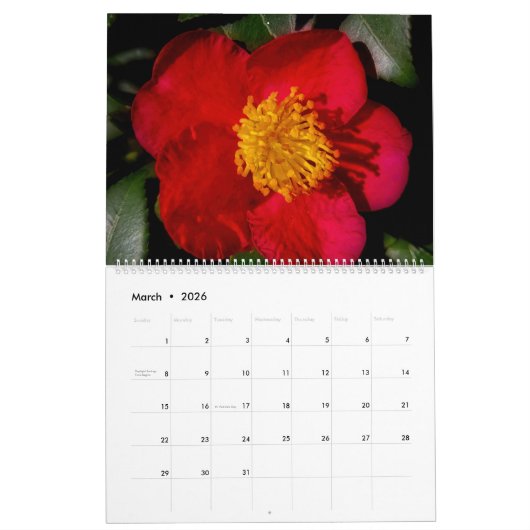 SCHÖNE EINDRÜCKE KALENDER (Mär 2026)