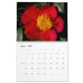 SCHÖNE EINDRÜCKE KALENDER (Mär 2027)