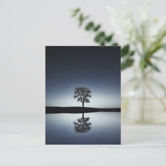 Schöne einsame Bäume, die sich am See in der Nacht Postkarte (Stehend Vorderseite)