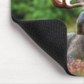 Schöne Elche mit den großen Geweihen Mousepad (Ecke)