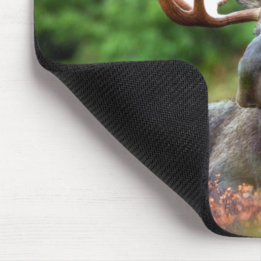 Schöne Elche mit den großen Geweihen Mousepad (Ecke)