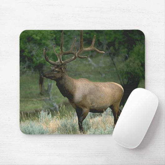 Schöne Elche Mousepad (Mit Mouse)