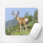 Schöne Elchnaturlandschaft Mousepad (Mit Mouse)