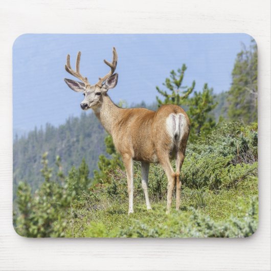 Schöne Elchnaturlandschaft Mousepad (Vorne)