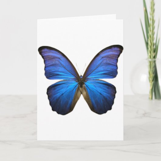Schöne Electric Blue Butterfly Karte (Vorderseite)