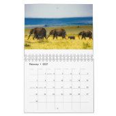 Schöne Elefant-Fotografien Kalender (Feb 2027)