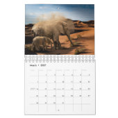 Schöne Elefant-Fotografien Kalender (Mär 2027)