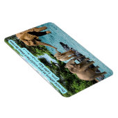 Schöne Elefantenschrift Magnet Luke 6:31 (Rechte Seite)