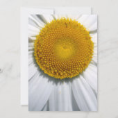 Schöne Elegant Daisy Wedding Einladung (Rückseite)