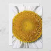 Schöne Elegant Daisy Wedding Einladung (Rückseite)