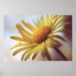 Schöne Elegante Abstrakt Gelbe Daisy Blume Poster