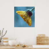 Schöne elegante gelbe Marigold-Blume fällt ab Poster (Küche)