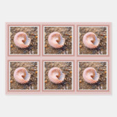 Schöne Elegante Muschel in Pale Pink Geschenkpapier Set (Vorderseite 3)