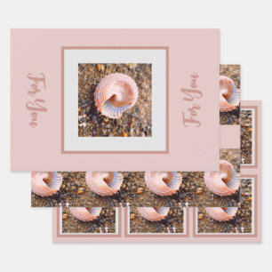 Schöne Elegante Muschel in Pale Pink Geschenkpapier Set