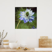 Schöne Elegante Nigella Blume Poster (Küche)