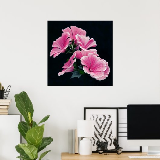 Schöne elegante Rosa Rose Blume Poster (Heimbüro)