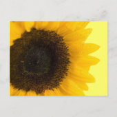 Schöne elegante Sonnenblume Einladung (Rückseite)
